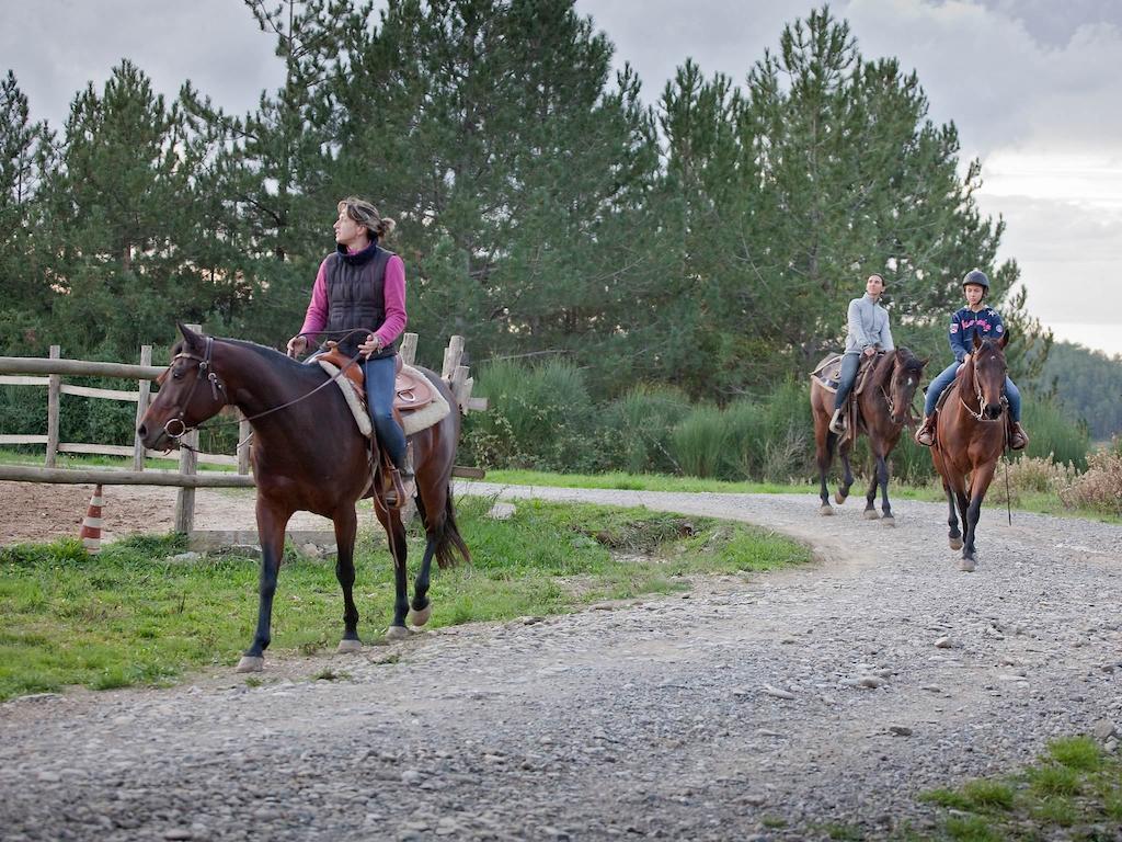 Tenuta La Silva Seggiano Eksteriør billede