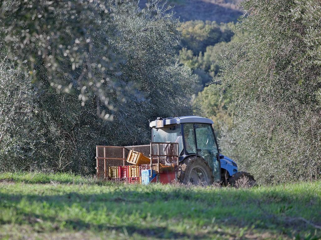 Tenuta La Silva Seggiano Eksteriør billede