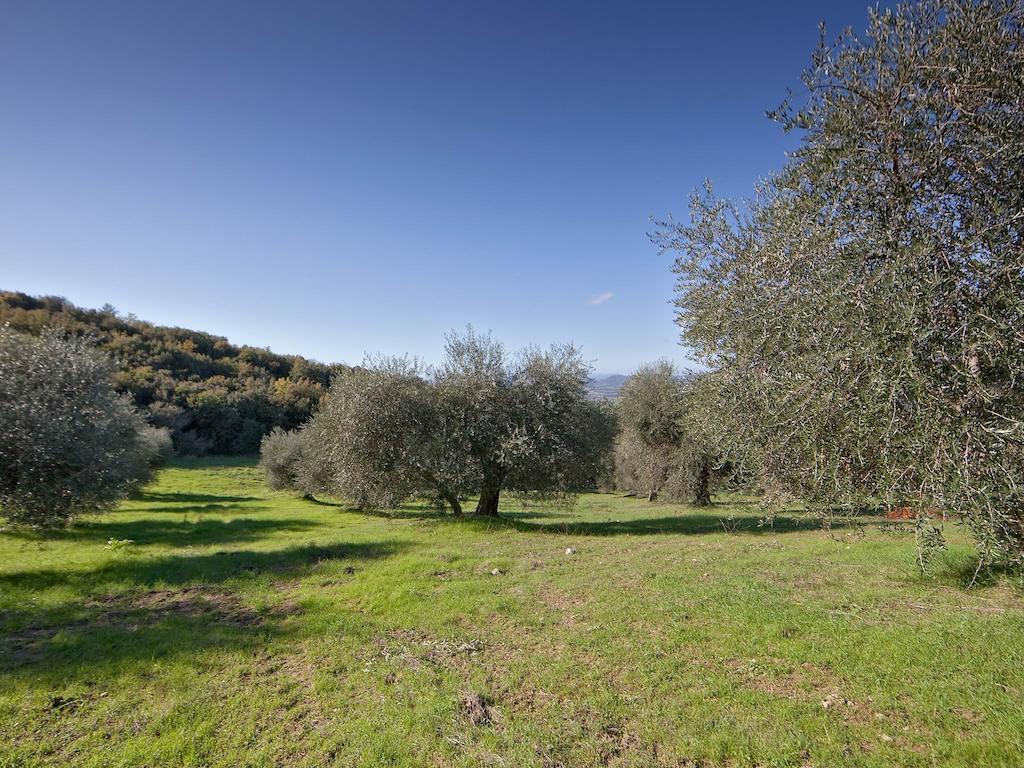 Tenuta La Silva Seggiano Eksteriør billede