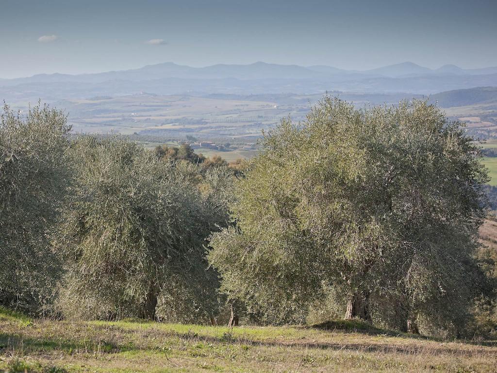Tenuta La Silva Seggiano Eksteriør billede
